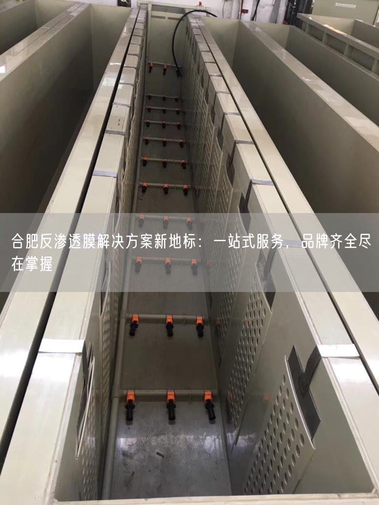 合肥反渗透膜解决方案新地标：一站式服务，品牌齐全尽在掌握(图1)