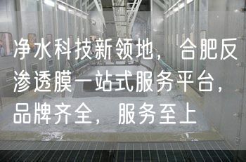 净水科技新领地，合肥反渗透膜一站式服务平台，品牌齐全，服务至上(图1)